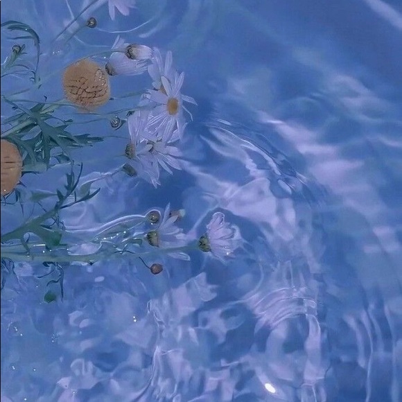 Meet your Posher, Jenessa - Picture 1 of 1